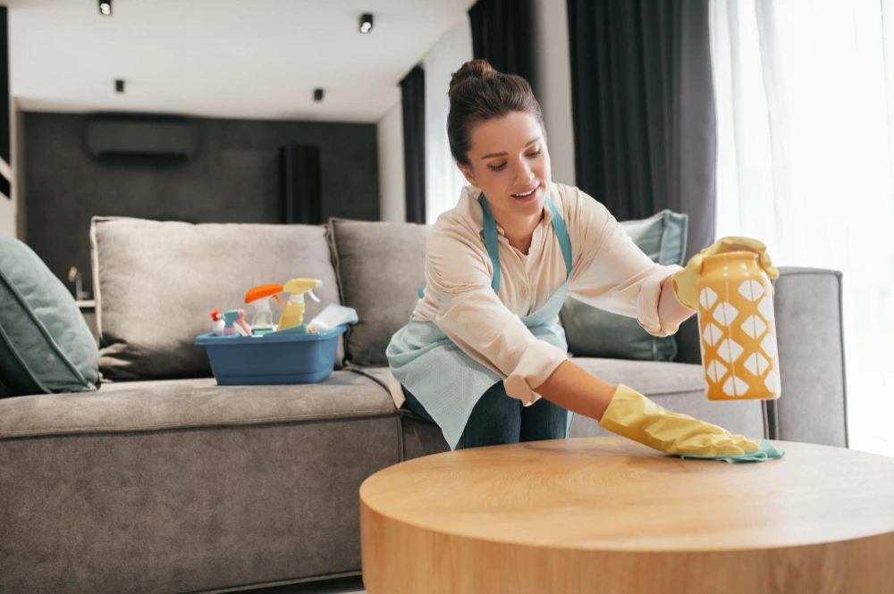 59505 house cleaning service